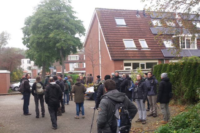 9 november 2016, Vogelaars bij Bruine Lijster, Groningen